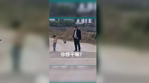 支持一波国产搞笑视频,搞笑视频盛宴，尽享本土喜剧魅力