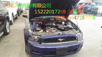 国产野马倒车视频