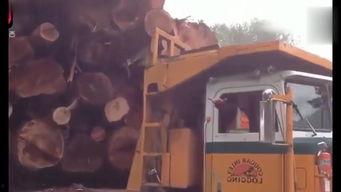 国产最后的卡车视频大全,最后的卡车视频大全集锦