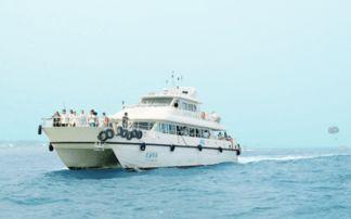 国产快艇出海视频,展现我国海上力量风采