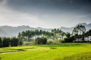 国产田园风景动画视频,国产田园风景动画视频赏析